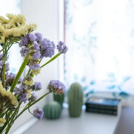 Apartmán Jardim De Sao Lazaro - Porto