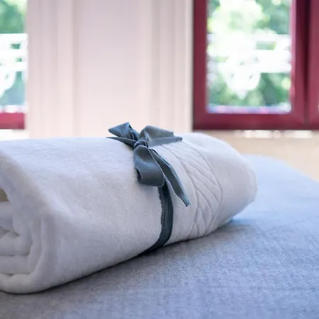 Jardim De Sao Lazaro -