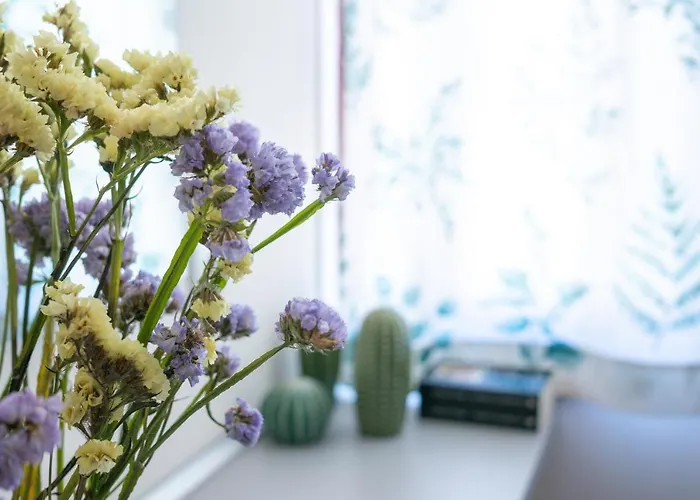 Apartmán Jardim De Sao Lazaro - Porto