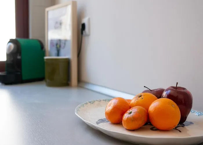 Jardim De Sao Lazaro - 포르투