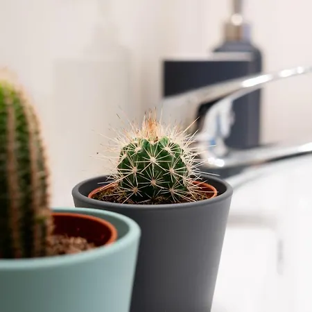 Jardim De Sao Lazaro - Porto