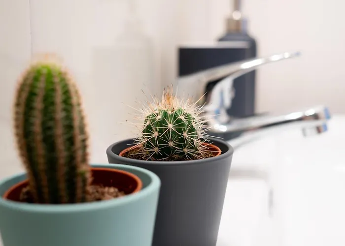 Jardim De Sao Lazaro - Oporto